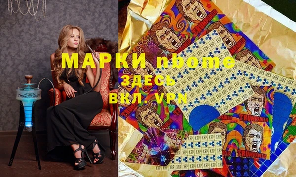 индика Аркадак