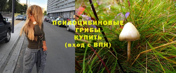 кокс Арсеньев