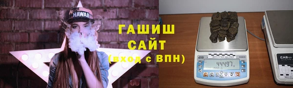 индика Аркадак