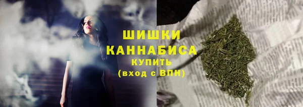 индика Аркадак