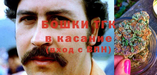 индика Аркадак