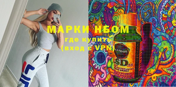 индика Аркадак