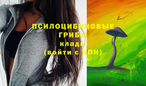 кокс Арсеньев