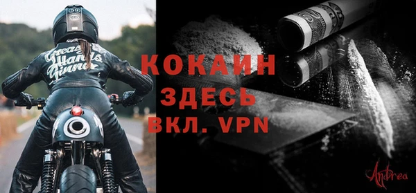 индика Аркадак