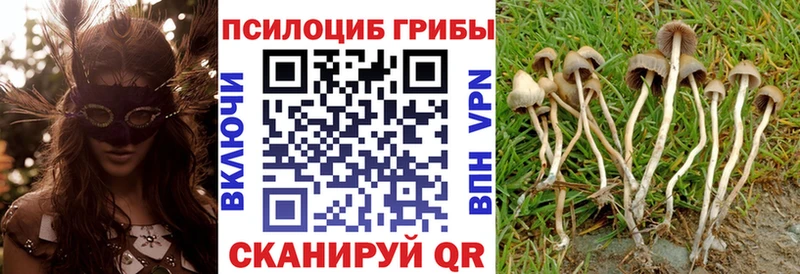 Псилоцибиновые грибы мицелий  Купить  Бутурлиновка 