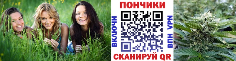 Конопля ГИДРОПОН  Купить где  Бутурлиновка 